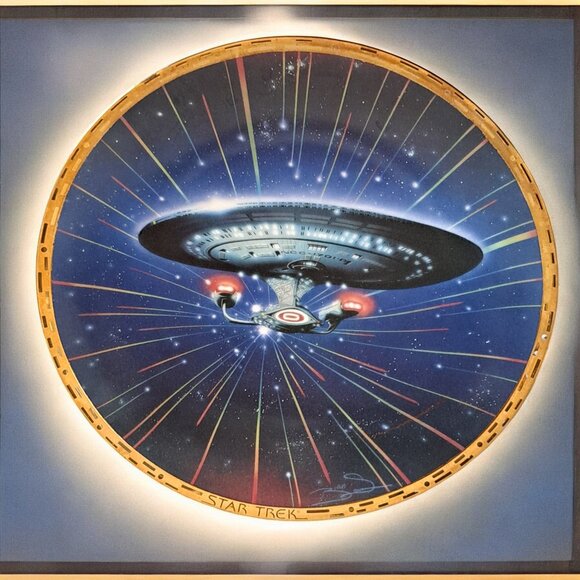 Star Trek The Voyagers Plate - U.S.S Enterprise NCC-1701-D Plate - Picture 7 of 9